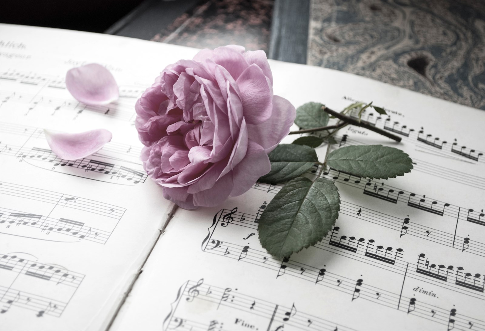 Musik kann für die Zeremonie frei gewählt werden. Beispielsweise kann man Lieblingslieder vom Verstorbenen, von der Verstorbenen spielen.  