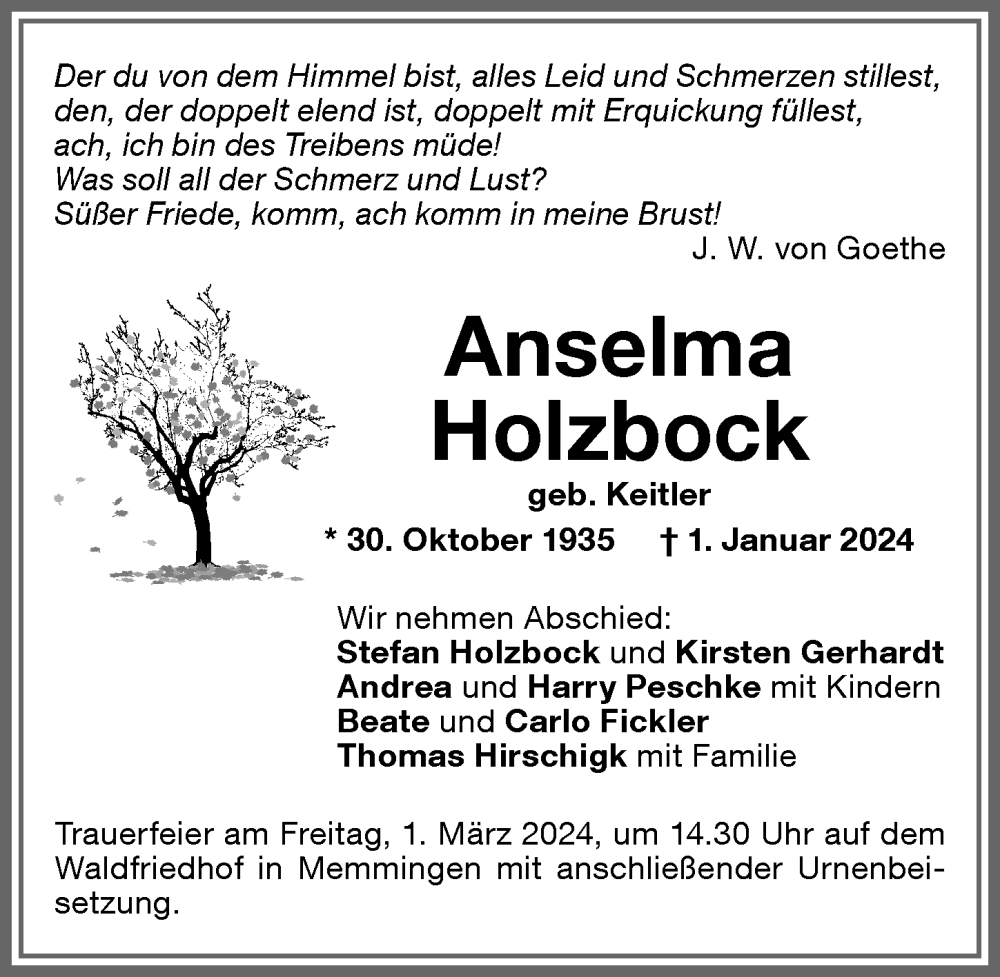 Traueranzeige von Anselma Holzbock von Memminger Zeitung