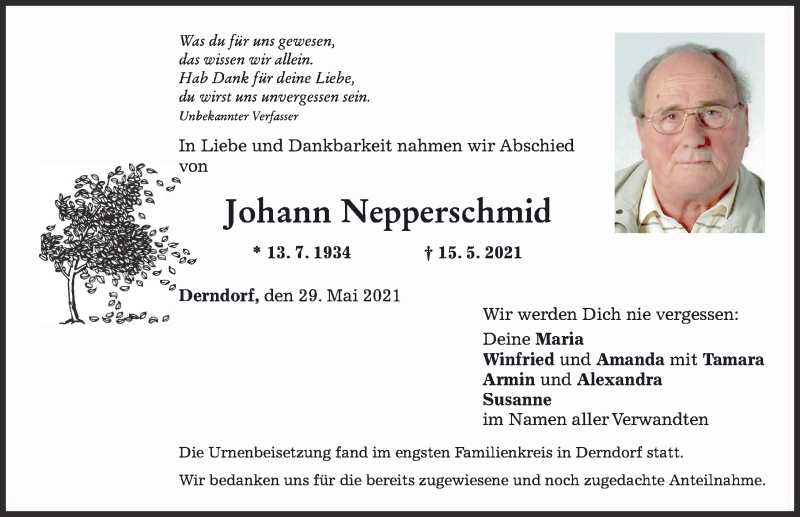 Traueranzeige von Johann Nepperschmid von Mindelheimer Zeitung