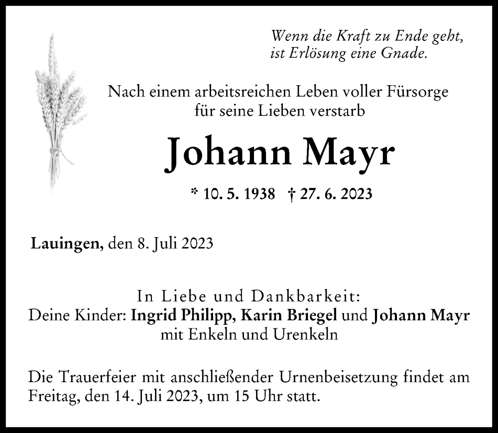 Traueranzeige von Johann Mayr von Donau Zeitung